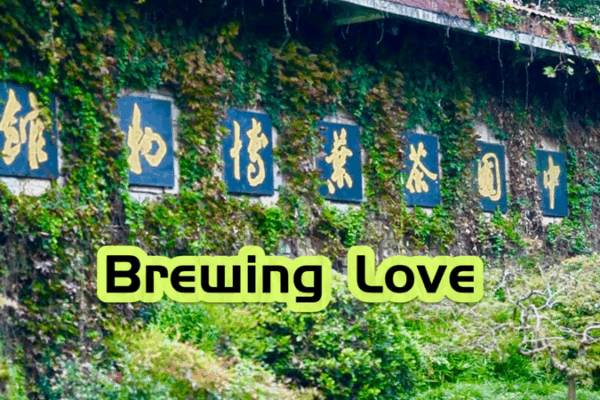 From Coffee to Tea: U.S. Officials Embrace Tea Culture at China National Tea Museum From_Coffee_to_Tea__U_S__Officials_Embrace_Tea_Culture_at_China_National_Tea_Museum video poster