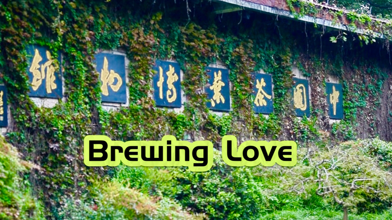 From_Coffee_to_Tea__U_S__Officials_Embrace_Tea_Culture_at_China_National_Tea_Museum_poster - Namaste Headlines From_Coffee_to_Tea__U_S__Officials_Embrace_Tea_Culture_at_China_National_Tea_Museum video poster