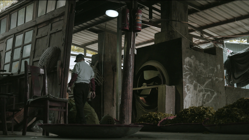 G8VQ5TOFNZAM8Q7EPDYY - Namaste Headlines Why Taiwan Oolong Turns Blue: Master Lin’s Artisan Tea Secrets video poster