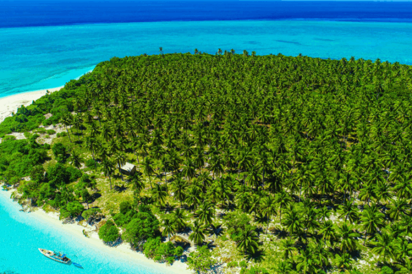 Discover Wakatobi National Park: Indonesia’s Underwater Paradise Discover Wakatobi National Park: Indonesia’s Underwater Paradise