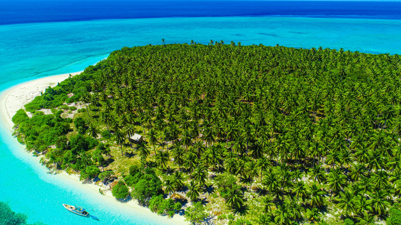 GHT7JP1PK84W2TUQEFBL - Namaste Headlines Discover Wakatobi National Park: Indonesia’s Underwater Paradise