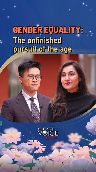 Gender_Equality__The_Unfinished_Pursuit video poster