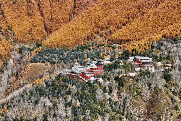Golden October Transforms Mount Wutai into a Dreamy Autumn Wonderland Golden_October_Transforms_Mount_Wutai_into_a_Dreamy_Autumn_Wonderland video poster