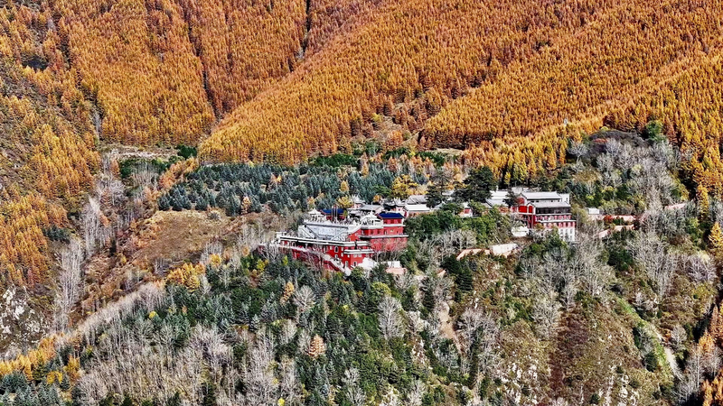 Golden_October_Transforms_Mount_Wutai_into_a_Dreamy_Autumn_Wonderland_poster - Namaste Headlines Golden_October_Transforms_Mount_Wutai_into_a_Dreamy_Autumn_Wonderland video poster