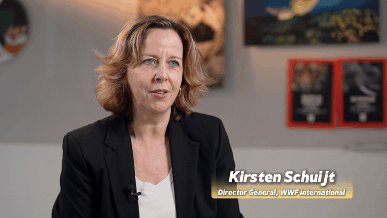 WWF Praises the Chinese mainland’s Two Mountains Concept for Global Sustainability video poster