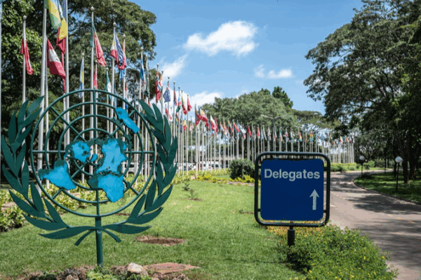 How_the_UN_Leads_Global_Environmental_Governance