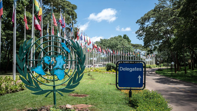 How_the_UN_Leads_Global_Environmental_Governance - Namaste Headlines How_the_UN_Leads_Global_Environmental_Governance