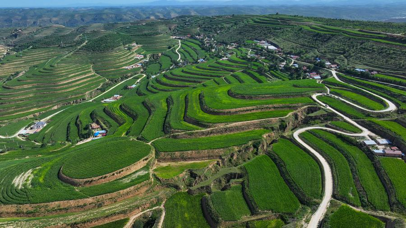 IGAWKLSLSP5XY0IOY0M8 - Namaste Headlines 15th FYP: China’s Roadmap to Rural Revitalization & Food Security