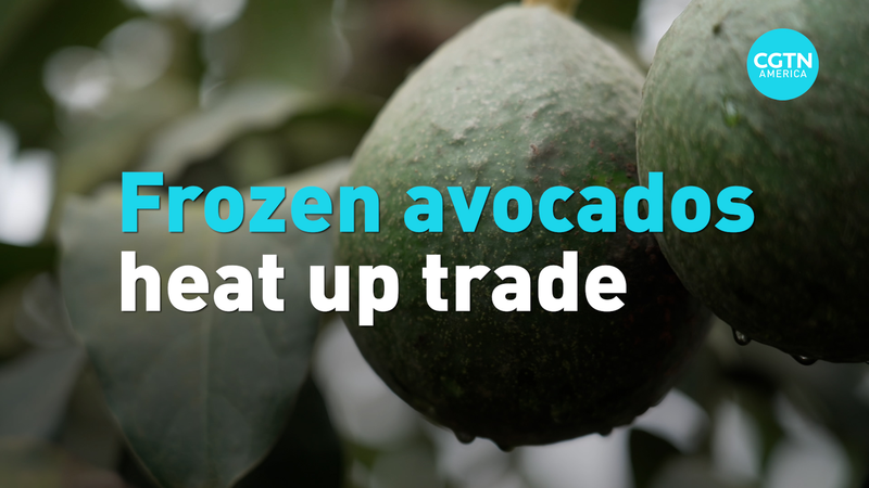 IHVOYQJKNERU47HV8T0U - Namaste Headlines Peru’s Frozen Avocados Hit the Chinese Mainland Market video poster