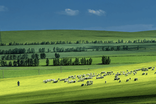 Intensifying_Droughts_Threaten_Global_Grasslands