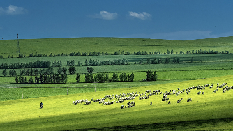 Intensifying_Droughts_Threaten_Global_Grasslands - Namaste Headlines Intensifying_Droughts_Threaten_Global_Grasslands