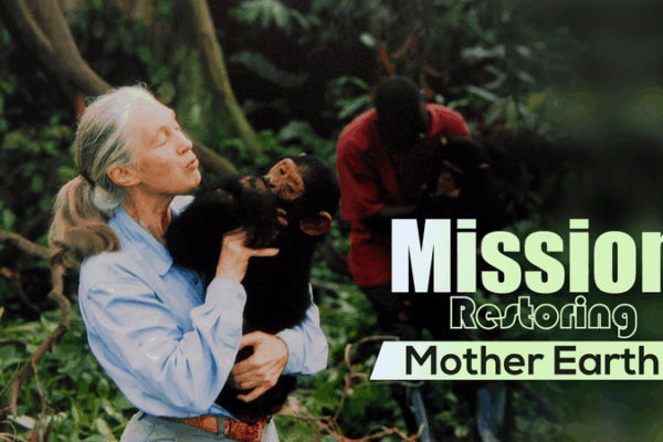 Jane Goodall, Iconic Primatologist, Passes Away at 91 Jane_Goodall__Iconic_Primatologist__Passes_Away_at_91 video poster