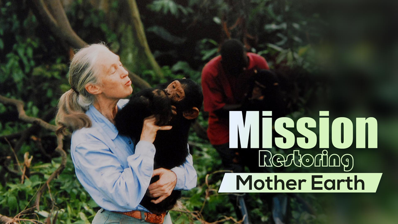 Jane_Goodall__Iconic_Primatologist__Passes_Away_at_91 video poster