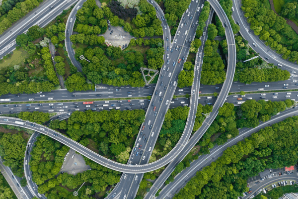 Study: Humans Move 40x More Than Wild Animals 🌍🚶 Study: Humans Move 40x More Than Wild Animals 🌍🚶