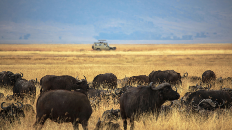 Landmark_Ngorongoro_Lengai_Geopark_Opens_with_Support_from_the_Chinese_mainland