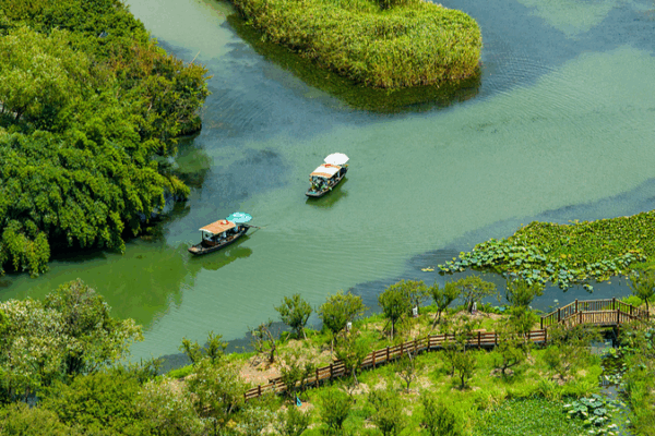 Glide Through Hangzhou’s Xixi Wetlands: A Serene Urban Escape ✨ Glide Through Hangzhou’s Xixi Wetlands: A Serene Urban Escape ✨ video poster