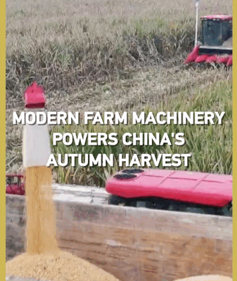Modern Machinery Powers Chinese Mainland’s Autumn Harvest Modern_Machinery_Powers_Chinese_Mainland_s_Autumn_Harvest video poster