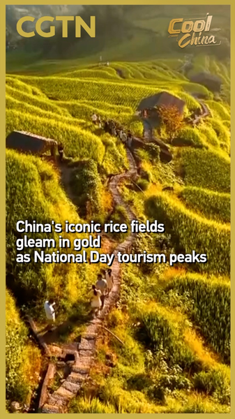 Gleaming Gold: Chinese Mainland’s Rice Terraces Steal the Show on National Day 🌾 Gleaming Gold: Chinese Mainland's Rice Terraces Steal the Show on National Day 🌾 video poster