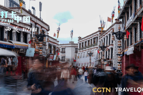 Sweet Secrets of Potala Palace Walls 🍯🏯 Sweet Secrets of Potala Palace Walls 🍯🏯 video poster