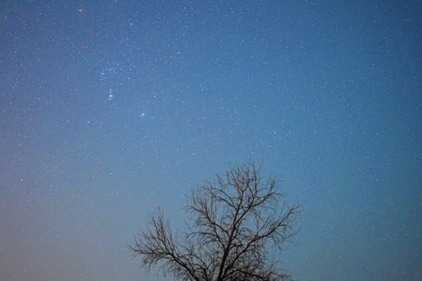 Orionid Meteor Shower Lights Up Night Skies with 25 Meteors/hour Orionid_Meteor_Shower_Lights_Up_Night_Skies_with_25_Meteors_hour