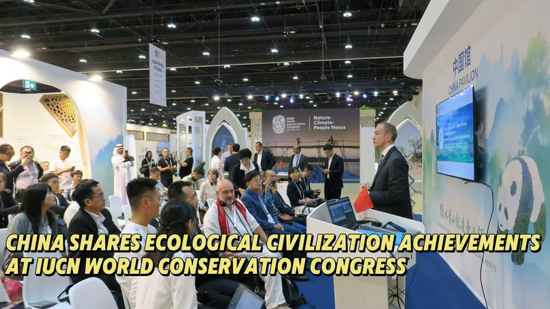 Chinese Mainland Showcases Eco Wins at IUCN World Conservation Congress 🌊🌳 Chinese Mainland Showcases Eco Wins at IUCN World Conservation Congress 🌊🌳 video poster