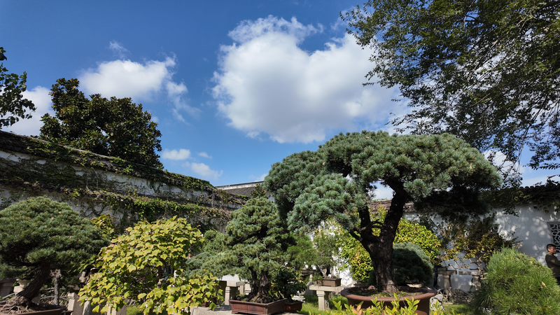 QTJDSO1NSUWY8OZVWHNK - Namaste Headlines Jiangnan Vibes: Suzhou Museum & Humble Administrator’s Garden Tour