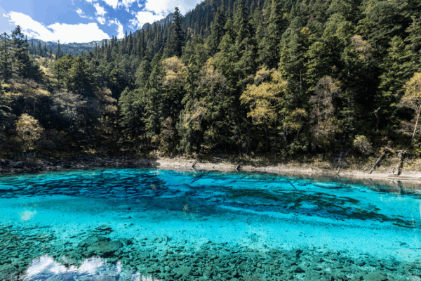 Inside Jiuzhaigou’s Vibrant Five-Color Lake 🌈 Inside Jiuzhaigou's Vibrant Five-Color Lake 🌈 video poster