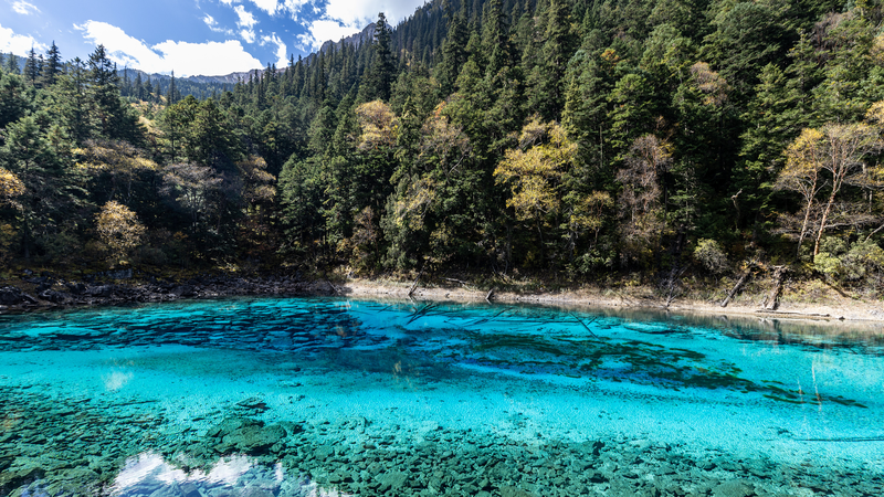 Inside Jiuzhaigou's Vibrant Five-Color Lake 🌈 video poster