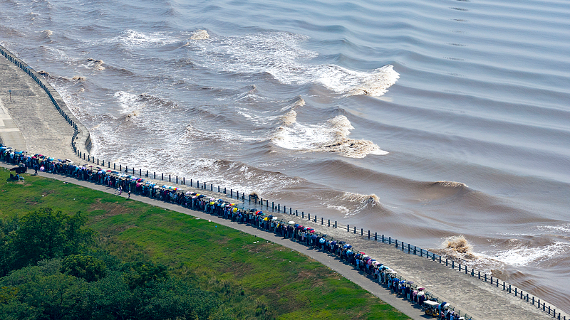 Experience the 2025 Qiantang River Tidal Bore Peak on Oct 9 🌊 video poster