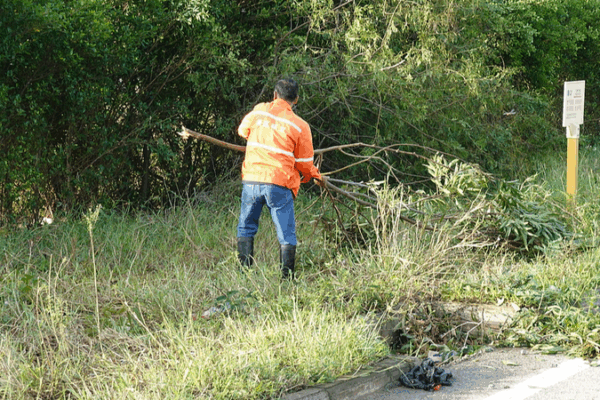 Relief Surge as Typhoon Matmo Strikes Guangxi & Yunnan Relief_Surge_as_Typhoon_Matmo_Strikes_Guangxi___Yunnan