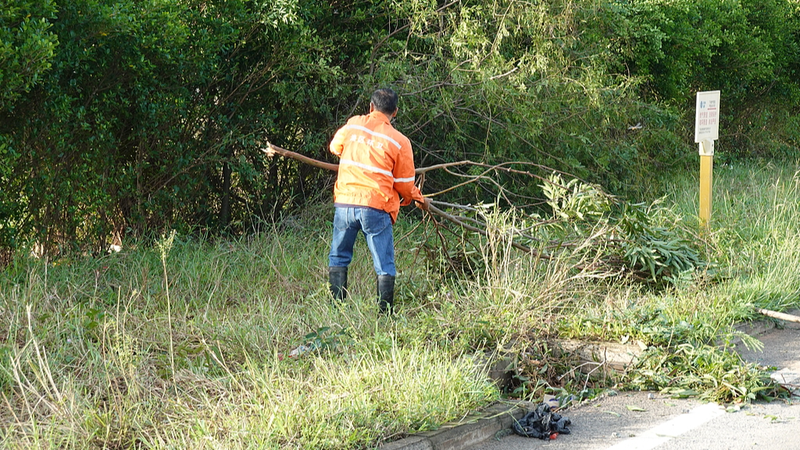 Relief_Surge_as_Typhoon_Matmo_Strikes_Guangxi___Yunnan