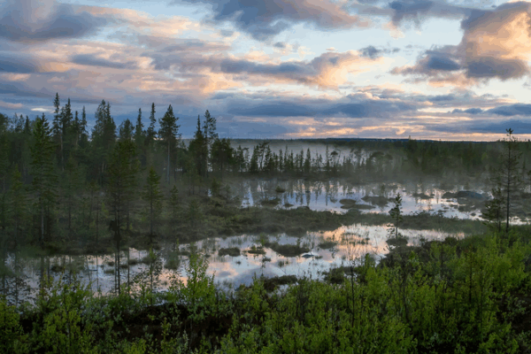 Russia Launches First Arctic Forest-Climate Project Russia_Launches_First_Arctic_Forest_Climate_Project