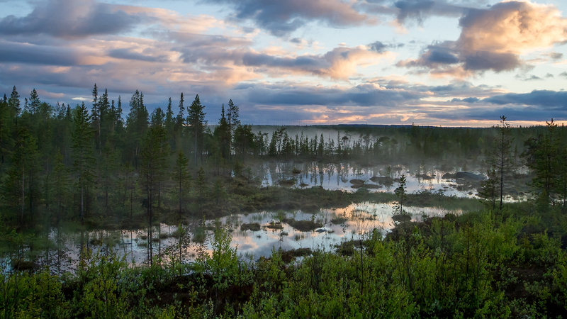 Russia_Launches_First_Arctic_Forest_Climate_Project - Namaste Headlines Russia_Launches_First_Arctic_Forest_Climate_Project