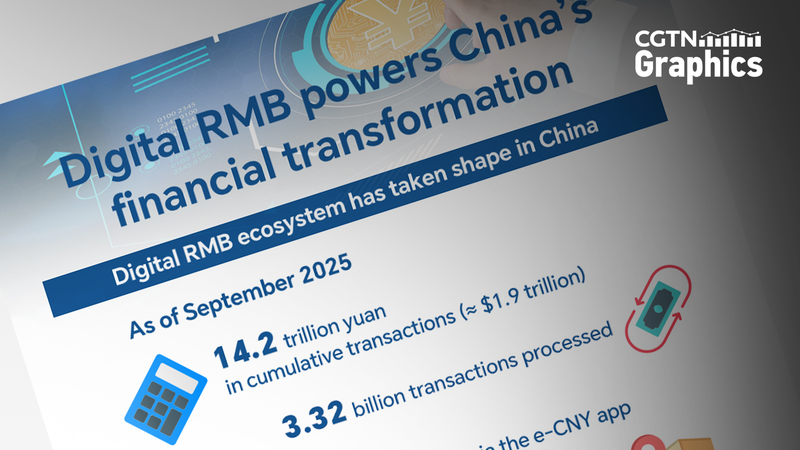 S85BGYPEZMXCO7SC30YU - Namaste Headlines Digital RMB Revolution: 225M Wallets & $1.9T 🚀