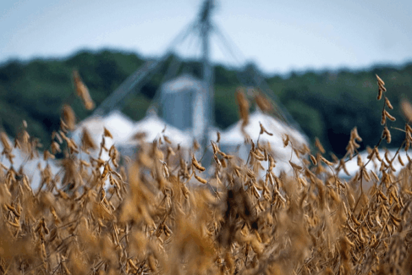 Shutdown + Tariffs: US Farmers Hit by Double Trouble Shutdown___Tariffs__US_Farmers_Hit_by_Double_Trouble