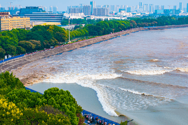 Silver Wave: Qiantang River’s Spectacular Tidal Bore Peaks on Oct 9 Silver_Wave__Qiantang_River_s_Spectacular_Tidal_Bore_Peaks_on_Oct_9 video poster
