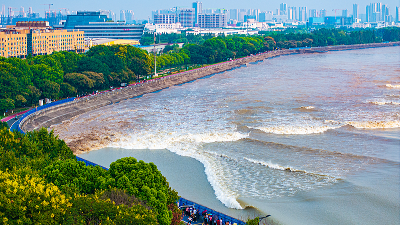 Silver_Wave__Qiantang_River_s_Spectacular_Tidal_Bore_Peaks_on_Oct_9 video poster
