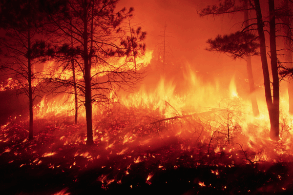 Study: 50% of Catastrophic Wildfires Hit in Last Decade Study__50__of_Catastrophic_Wildfires_Hit_in_Last_Decade