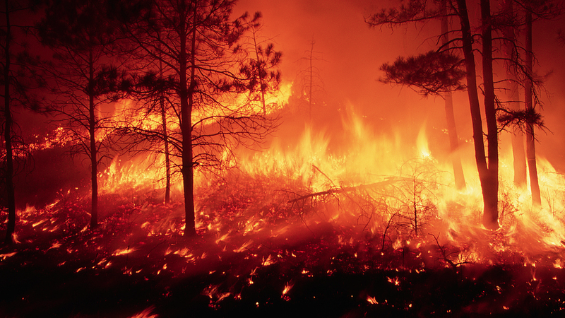 Study__50__of_Catastrophic_Wildfires_Hit_in_Last_Decade