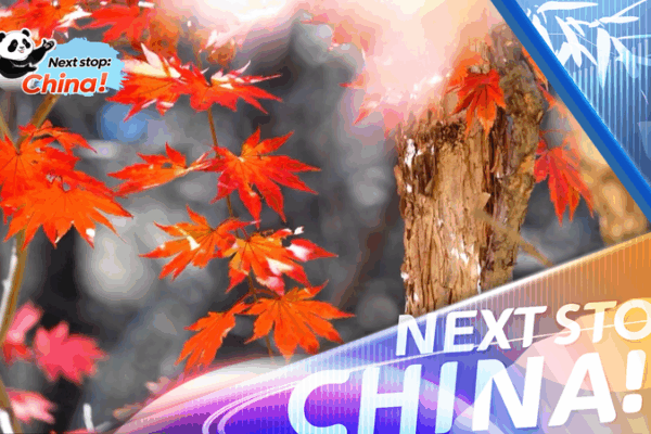 Stunning Fall Colors Fuel Tourism in the Chinese Mainland Stunning_Fall_Colors_Fuel_Tourism_in_the_Chinese_Mainland video poster