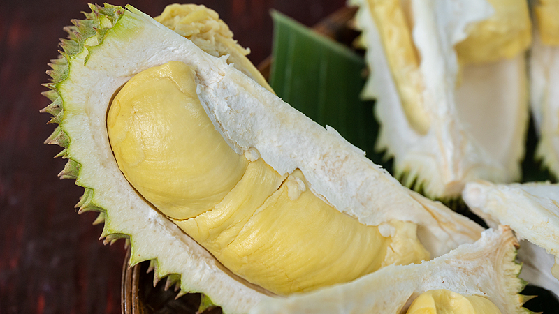 Thai Durian Digital Journey: Smart Orchards & Livestream Buzz Thai_Durian_Digital_Journey__Smart_Orchards___Livestream_Buzz