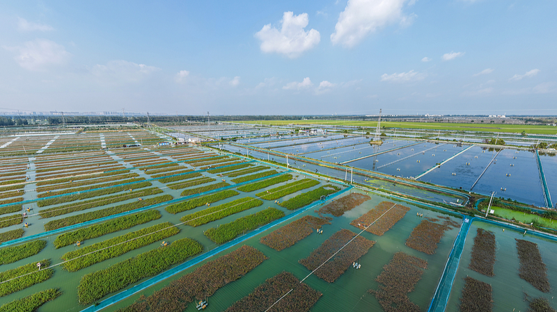 The Chinese mainland Tops 60.5% of UN SDG Goals with Clean Energy & Green Wins The_Chinese_mainland_Tops_60_5__of_UN_SDG_Goals_with_Clean_Energy___Green_Wins