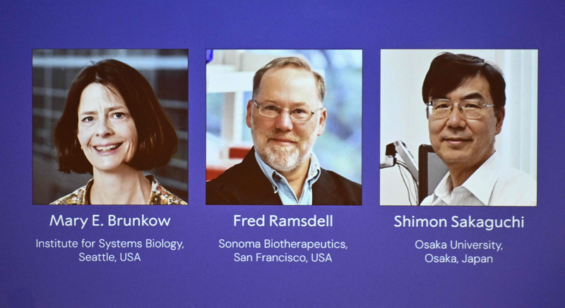 Trio_Wins_2025_Nobel_Prize_in_Medicine_for_Immune_Tolerance_Breakthrough