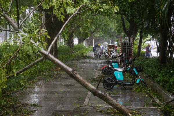 Typhoon Matmo Weakens in S China; Relief Efforts Begin Typhoon_Matmo_Weakens_in_S_China__Relief_Efforts_Begin