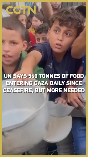 UN Delivers 560 Tonnes of Food to Gaza Daily, but Crisis Deepens UN_Delivers_560_Tonnes_of_Food_to_Gaza_Daily__but_Crisis_Deepens video poster