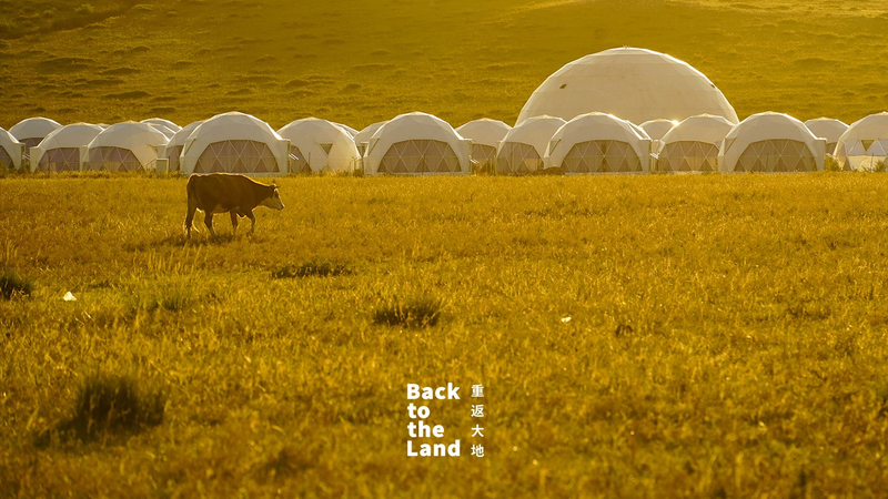 Ulanqab_Grasslands__The_Rhythm_of_Life_in_Herds - Namaste Headlines Ulanqab_Grasslands__The_Rhythm_of_Life_in_Herds