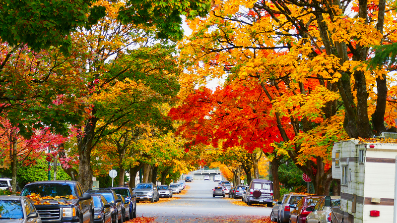 Maple Leaf Magic: Canada’s Fall Colors & Syrup Surge Maple Leaf Magic: Canada’s Fall Colors & Syrup Surge