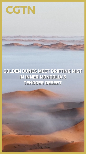 When Gold Meets Mist: Rare Rainfall Transforms Tengger Desert When_Gold_Meets_Mist__Rare_Rainfall_Transforms_Tengger_Desert video poster