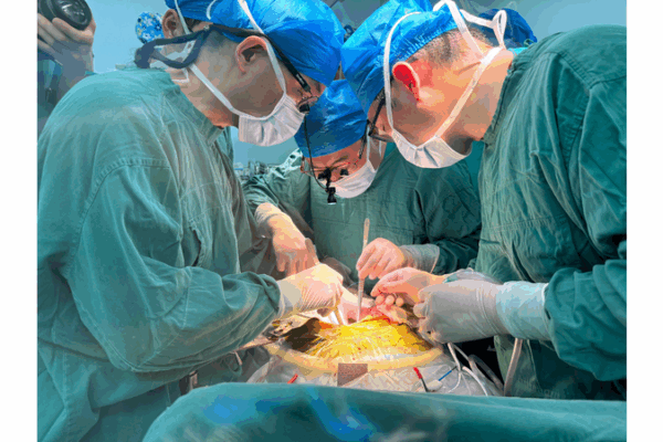 World’s First Gene-Edited Pig Liver Transplant Supports Human for 171 Days World_s_First_Gene_Edited_Pig_Liver_Transplant_Supports_Human_for_171_Days