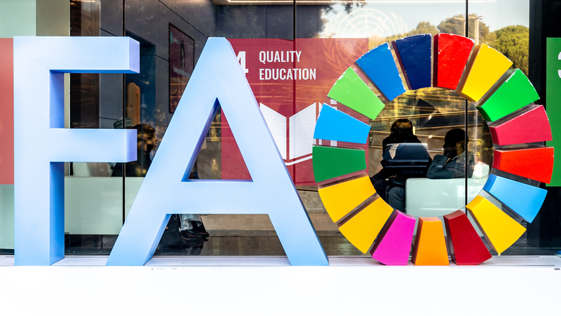 Xi_Jinping_Congratulates_FAO_on_80th_Anniversary - Namaste Headlines Xi_Jinping_Congratulates_FAO_on_80th_Anniversary